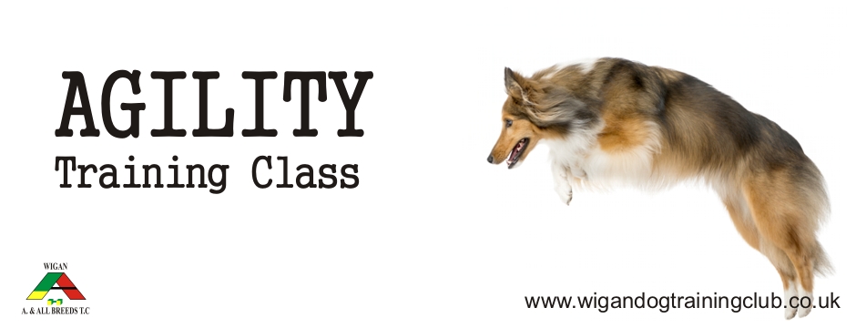 Agility Training Class