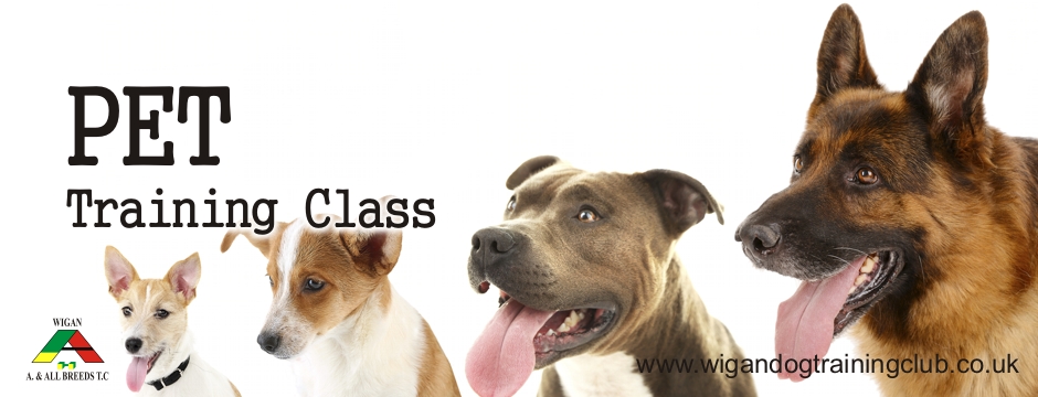 Pet Training Class
